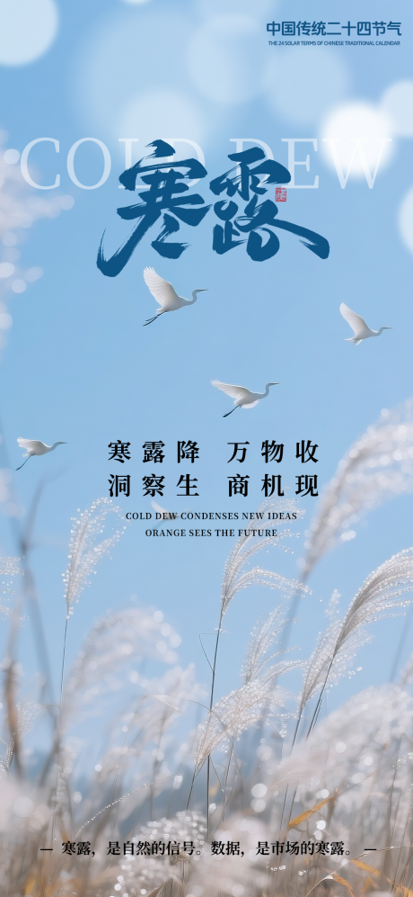 源文件下载【享设计】搜索编号：16920033399215499【寒露节气海报】