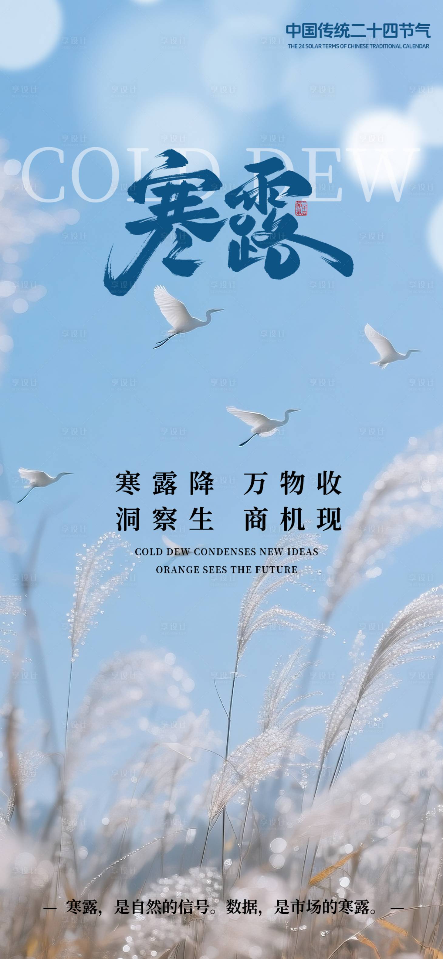 源文件下载【享设计】搜索编号：16920033399215499【寒露节气海报】