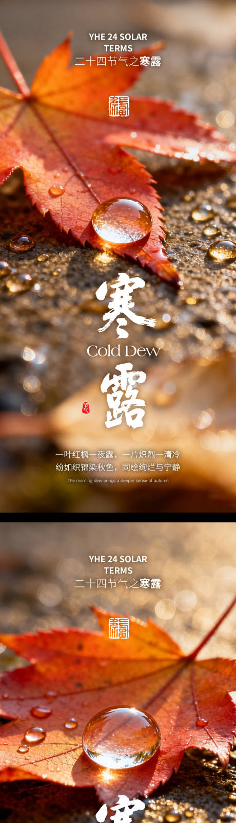 源文件下载【享设计】搜索编号：67650033383274256【寒露医美寒露美容寒露24节气】