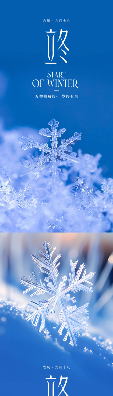 源文件下载【享设计】搜索编号：67260033702549564【立冬节气系列海报】