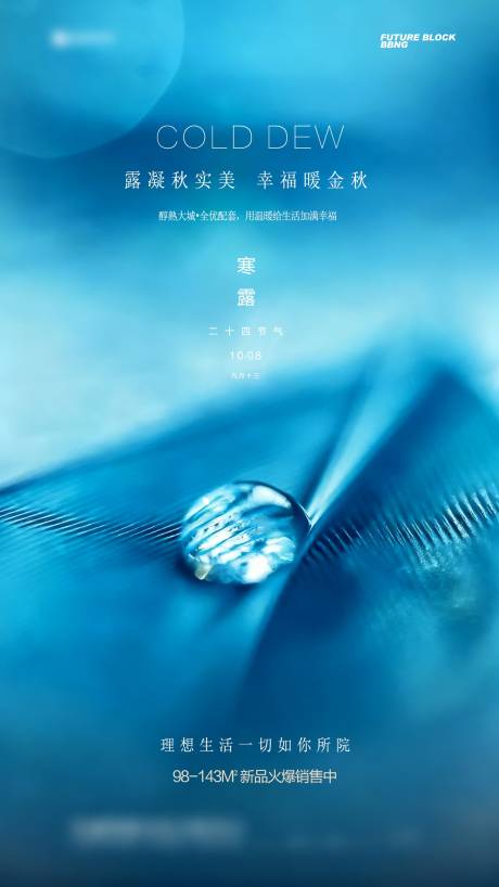 源文件下载【享设计】搜索编号：20340033428435879【寒露节气海报】