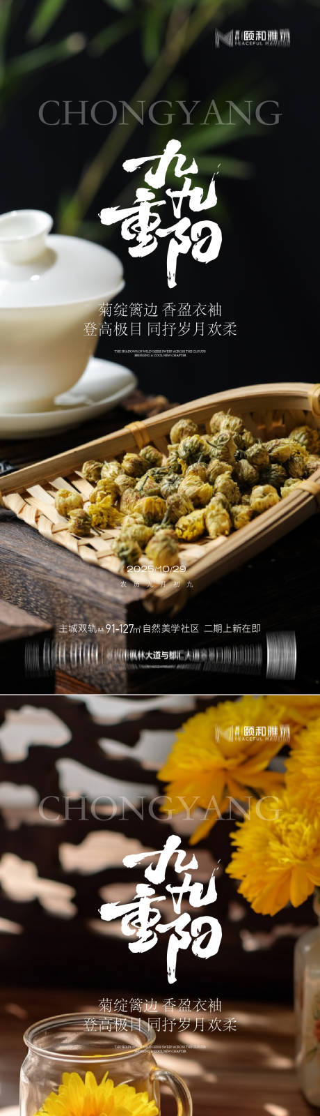 源文件下载【享设计】搜索编号：49390033565728727【2025重阳节节日海报】