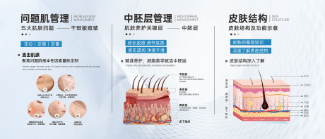 源文件下载【享设计】搜索编号：44080033686617157【皮肤分层展板】