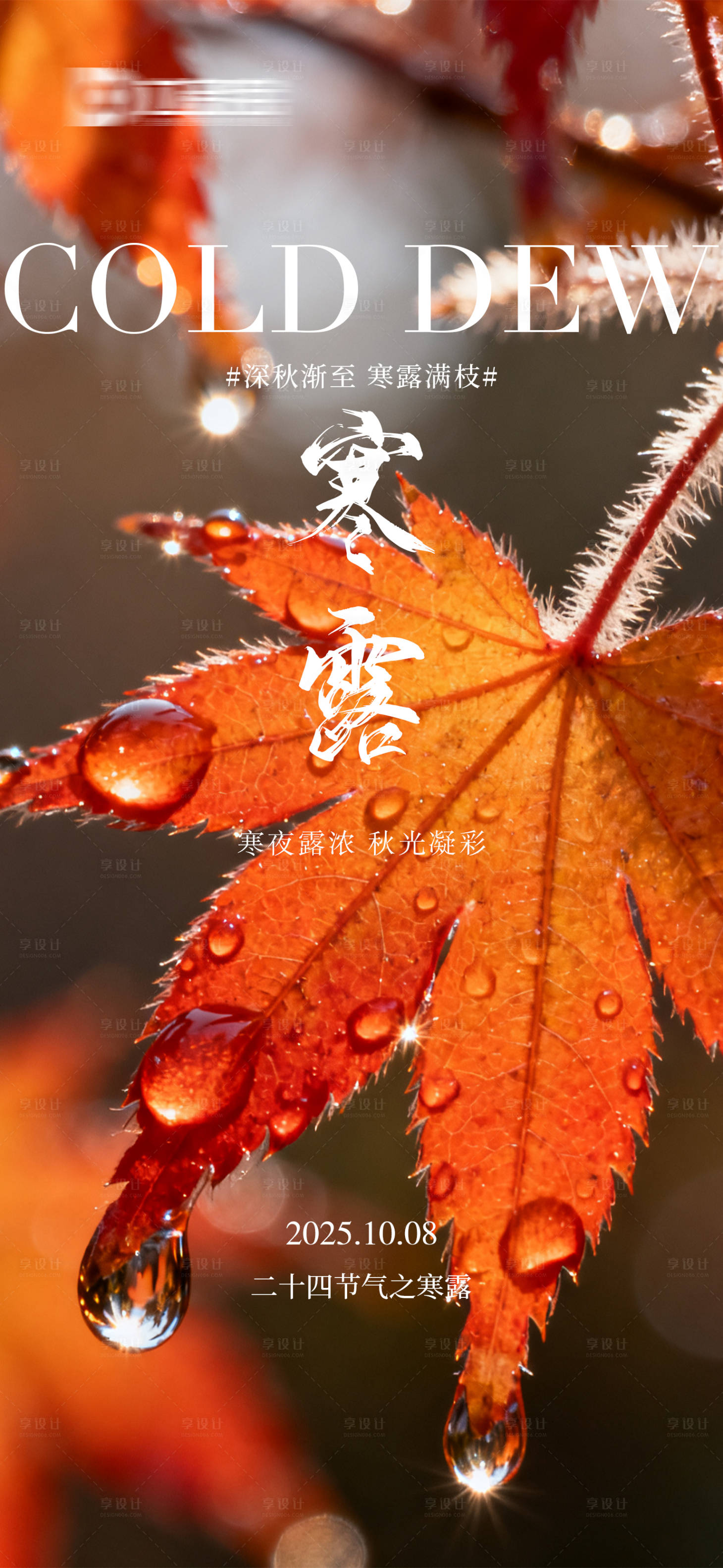 源文件下载【享设计】搜索编号：67530033411918128【24节气寒露海报节气海报秋天】