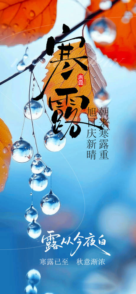 源文件下载【享设计】搜索编号：19090033371033906【寒露节气移动端海报】