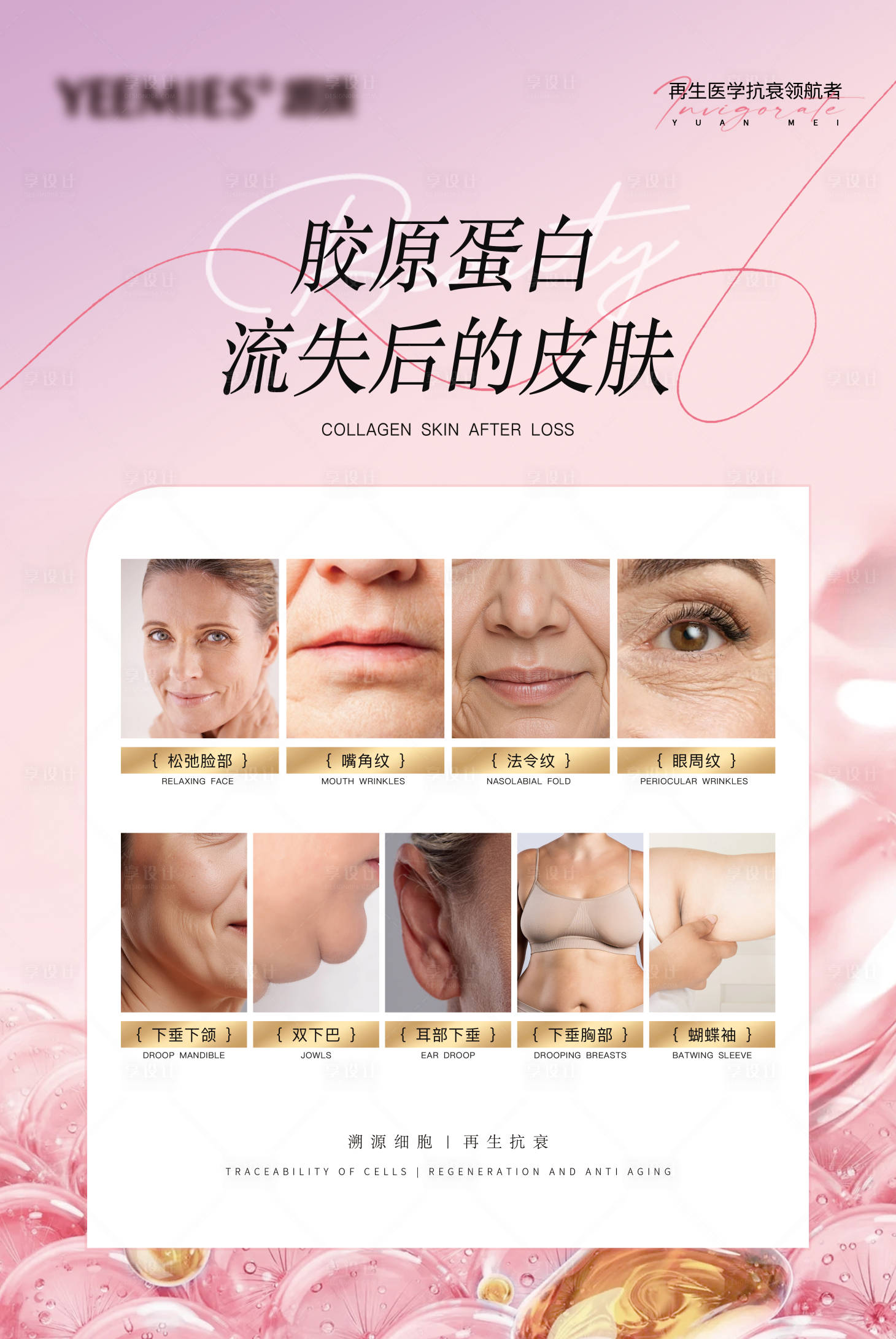 源文件下载【享设计】搜索编号：88520033682207587【胶原蛋白流失后的皮肤海报KT板】