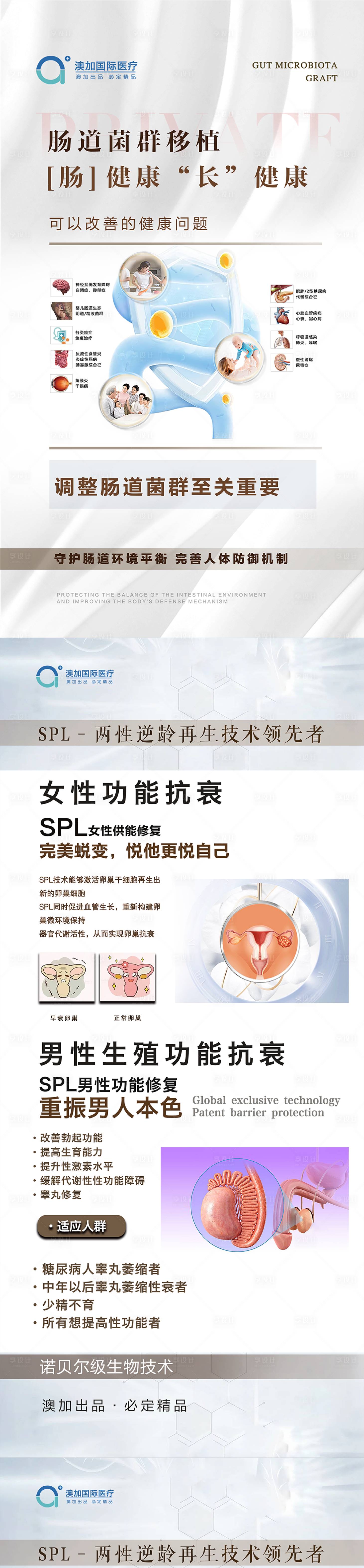 源文件下载【享设计】搜索编号：17390033432946806【大健康海报】