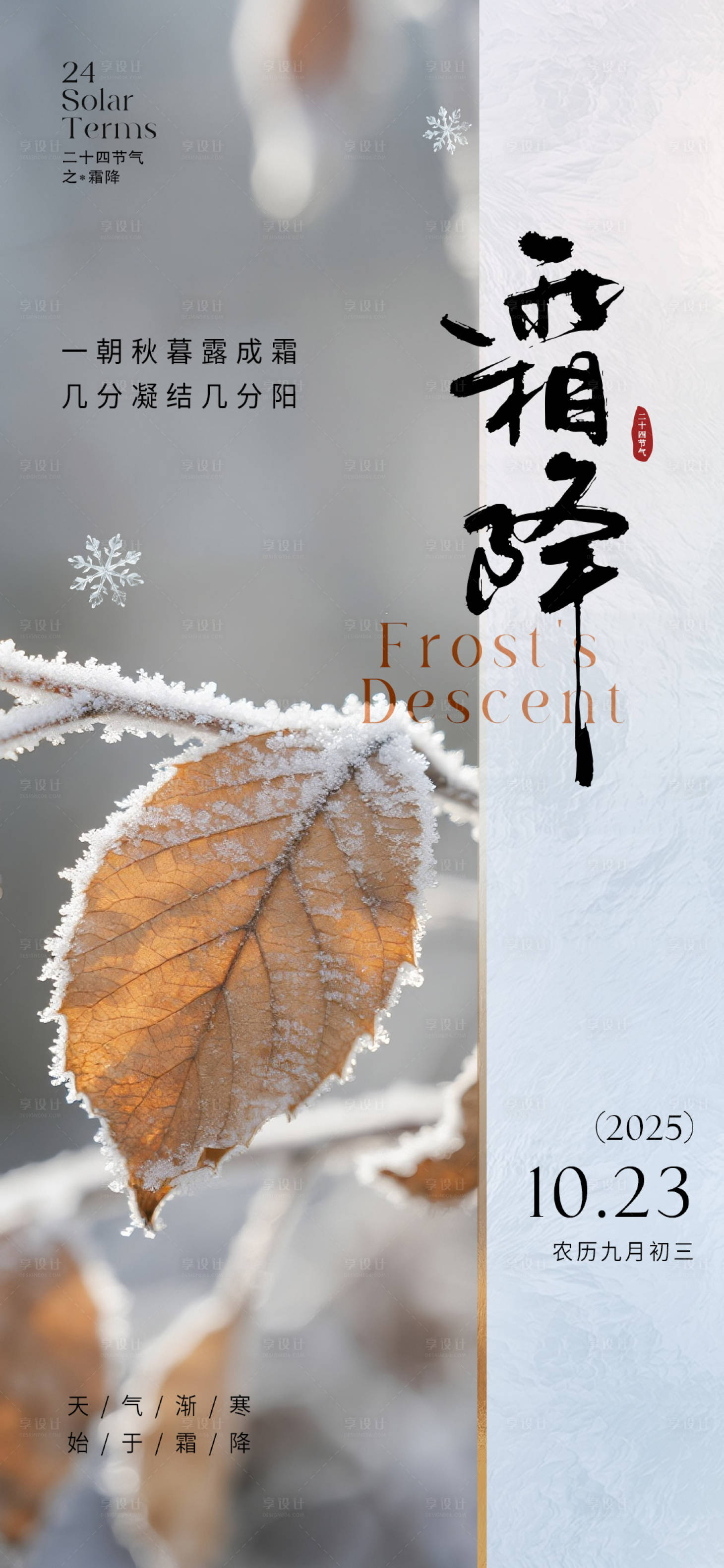源文件下载【享设计】搜索编号：27900033470583719【霜降海报】