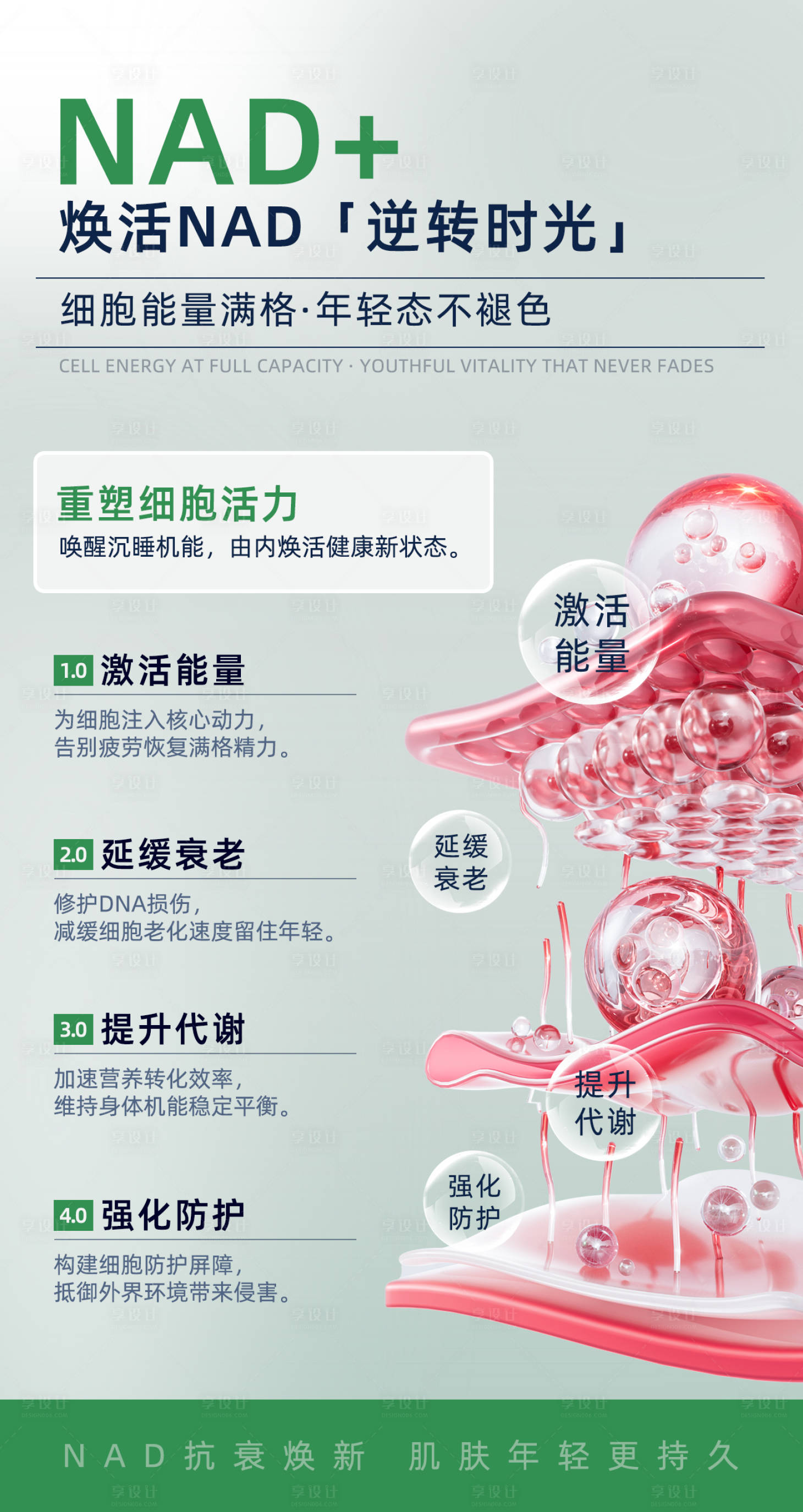 源文件下载【享设计】搜索编号：98360033551605437【NAD抗衰大健康】