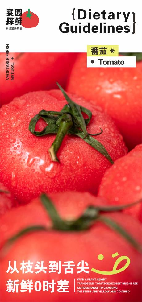 源文件下载【享设计】搜索编号：20440033459576186【番茄海报】