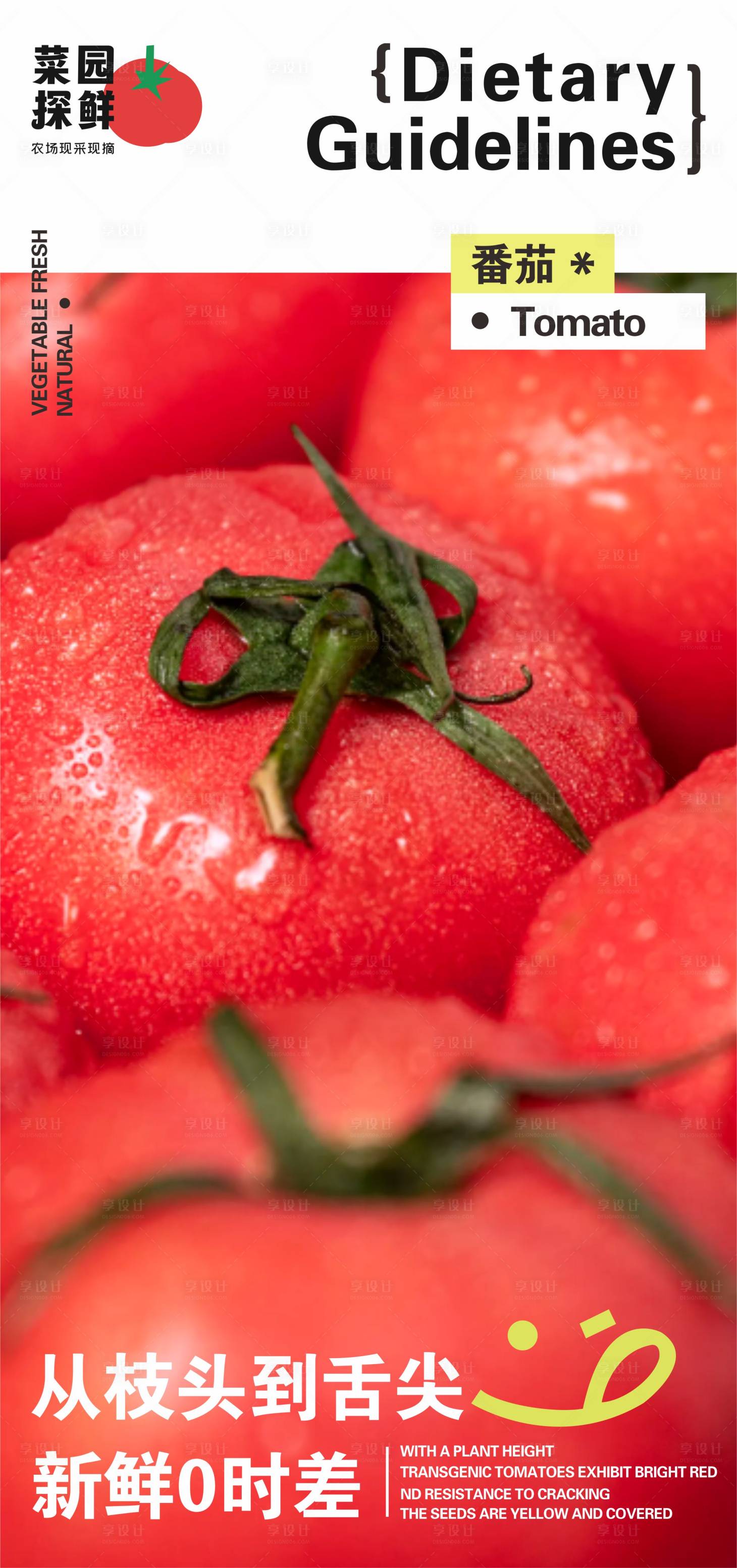 源文件下载【享设计】搜索编号：20440033459576186【番茄海报】