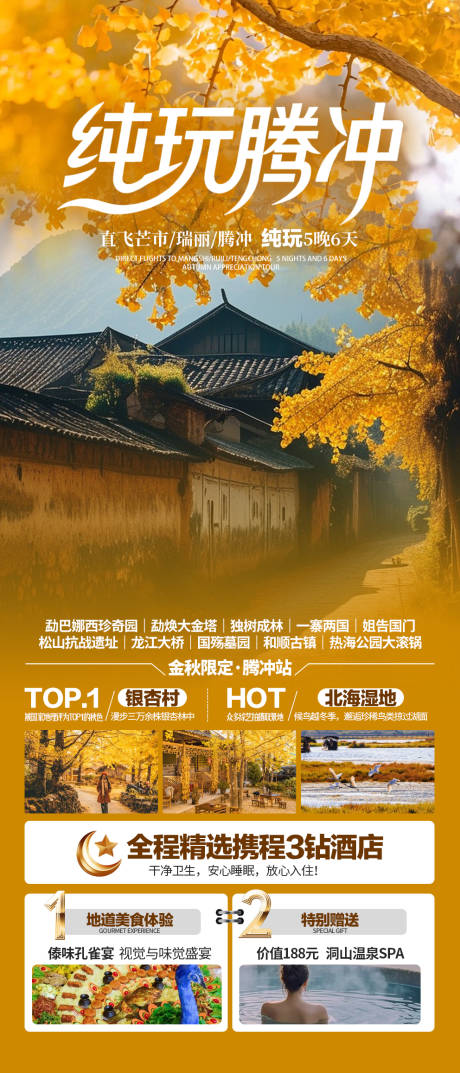 源文件下载【享设计】搜索编号：27340033551535269【腾冲银杏村旅游海报】