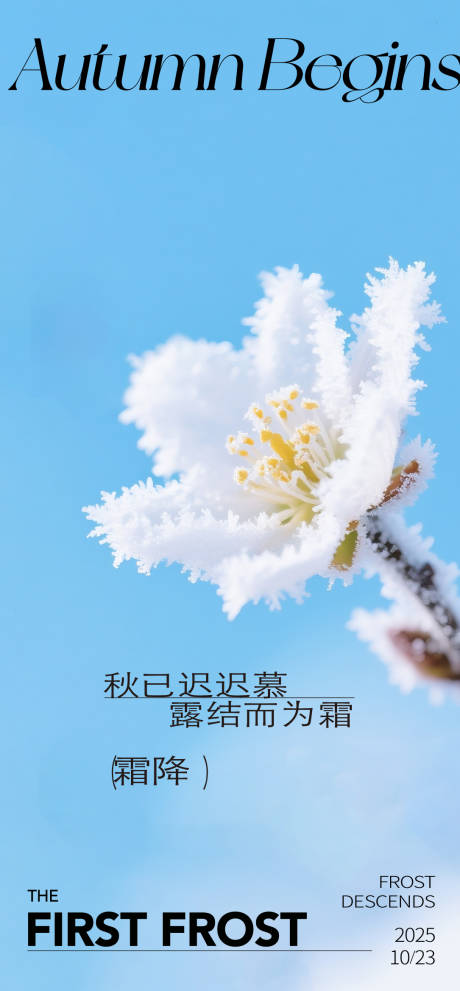 源文件下载【享设计】搜索编号：23670033640487965【霜降海报】