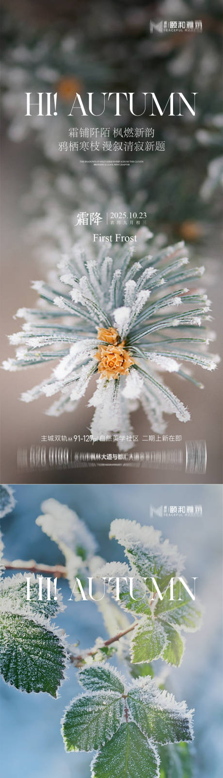 源文件下载【享设计】搜索编号：63860033540288535【2025霜降二十四节气海报】