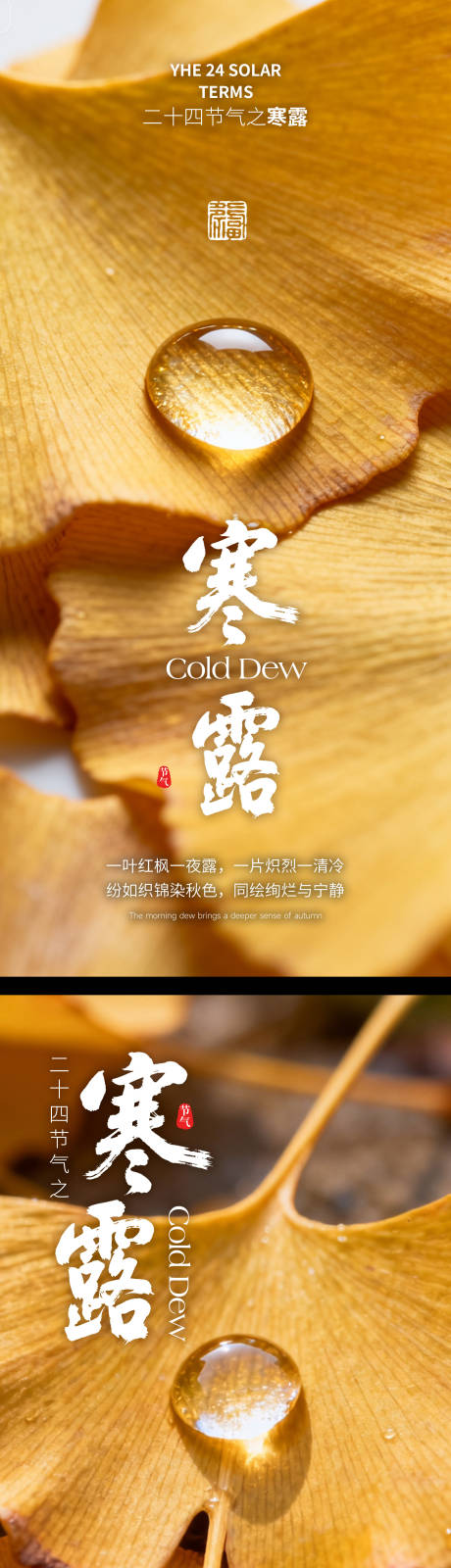 源文件下载【享设计】搜索编号：69760033383959658【寒露医美寒露美容寒露24节气】