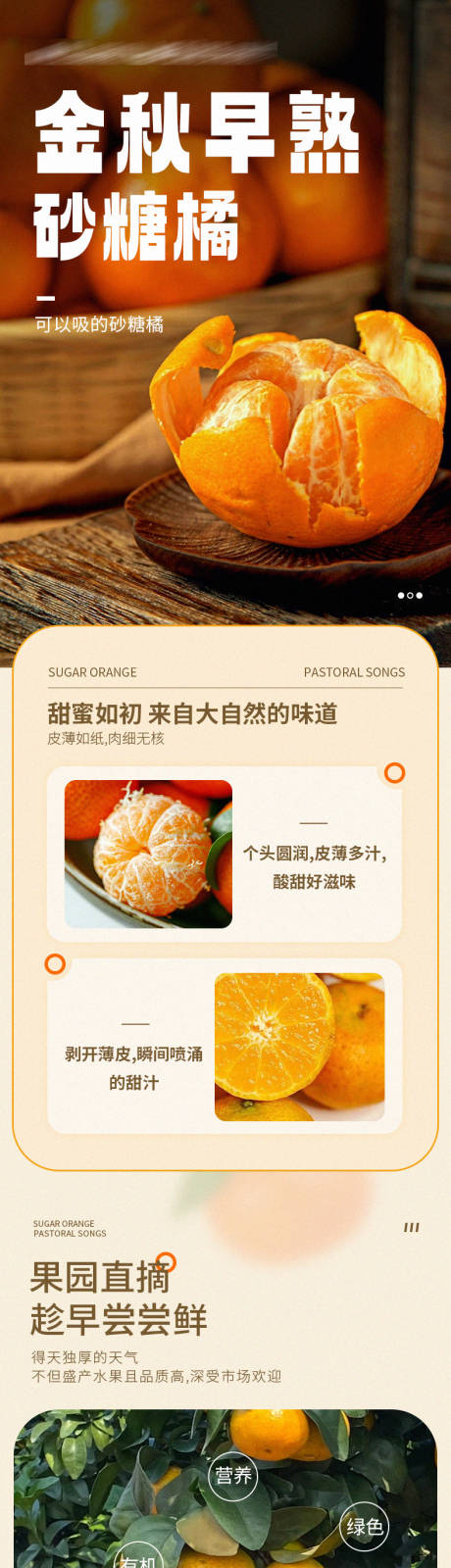 源文件下载【享设计】搜索编号：40210033643226274【砂糖橘介绍微信长图海报】