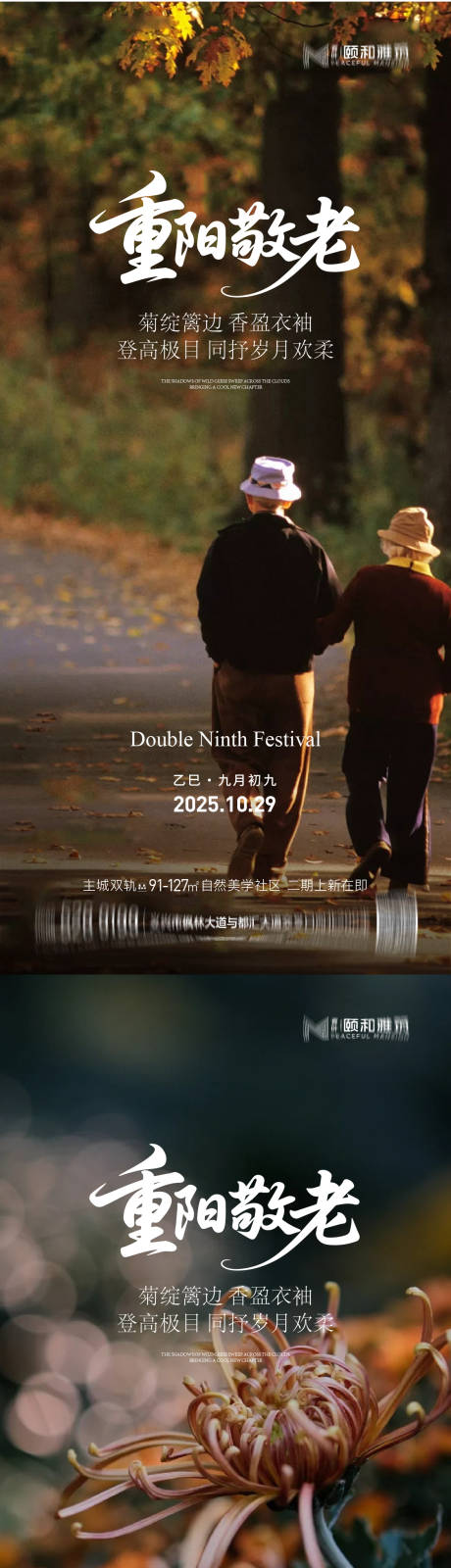 源文件下载【享设计】搜索编号：19650033565879564【2025重阳节节日海报】