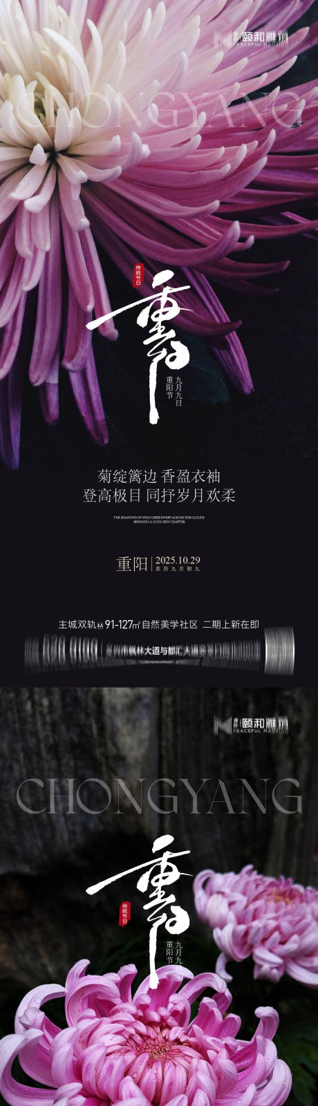 源文件下载【享设计】搜索编号：22620033720935458【重阳节节日海报】