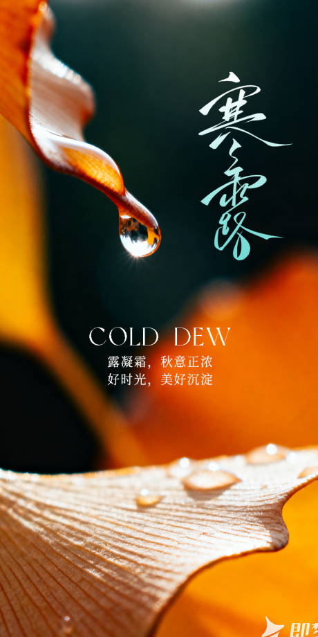 源文件下载【享设计】搜索编号：41080033590619925【寒露节气海报】