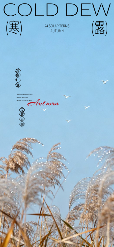 源文件下载【享设计】搜索编号：22410033388141787【寒露节气海报】