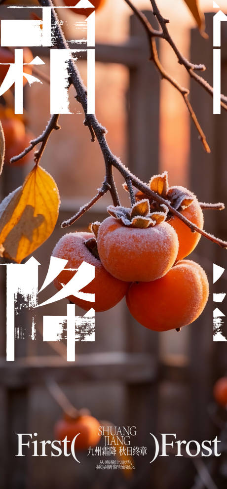 源文件下载【享设计】搜索编号：81050033659079344【霜降海报】