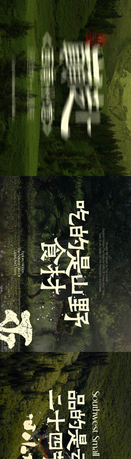 源文件下载【享设计】搜索编号：62960034144704285【山野风野生菌长图海报】