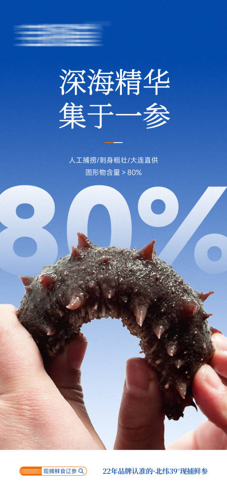 源文件下载【享设计】搜索编号：22520033924441900【海参】