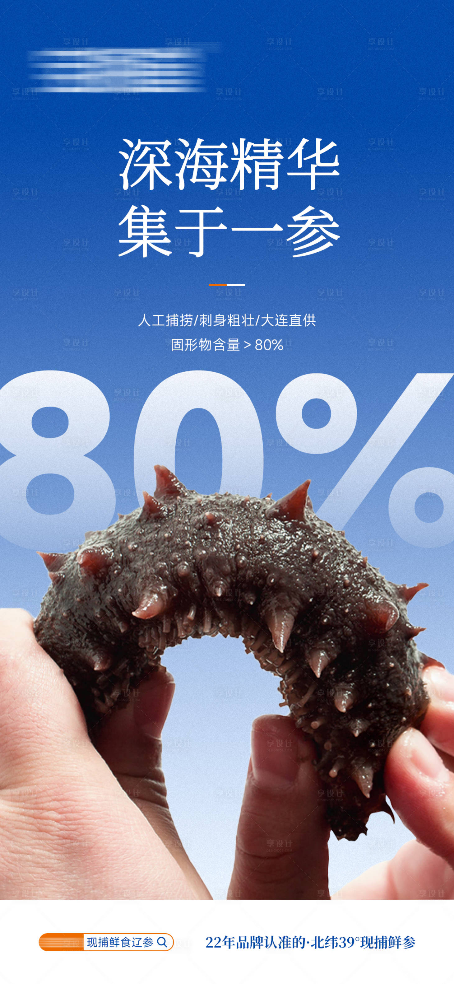 源文件下载【享设计】搜索编号：22520033924441900【海参】