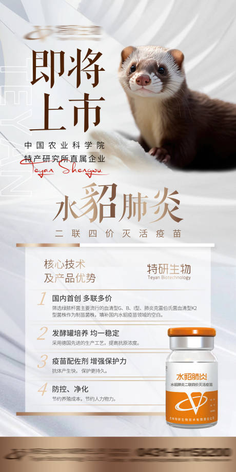 源文件下载【享设计】搜索编号：76790033852285221【宠物医药水貂肺炎新品上市】