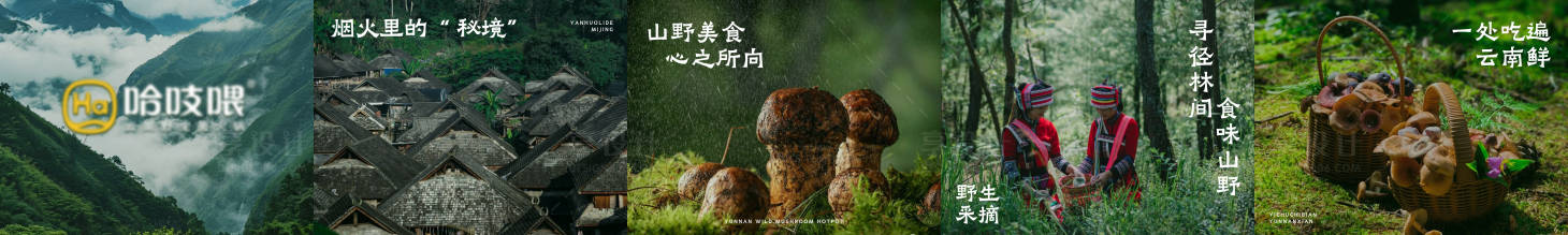 源文件下载【享设计】搜索编号：50060034081613480【菌子火锅五连图海报】