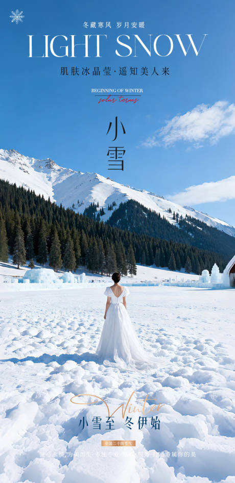 源文件下载【享设计】搜索编号：52700034102068876【医美小雪海报】