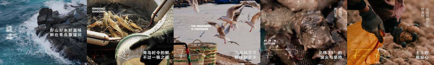 源文件下载【享设计】搜索编号：54220034162441014【青岛菜五图】