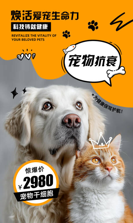 源文件下载【享设计】搜索编号：59030034066596918【宠物海报】