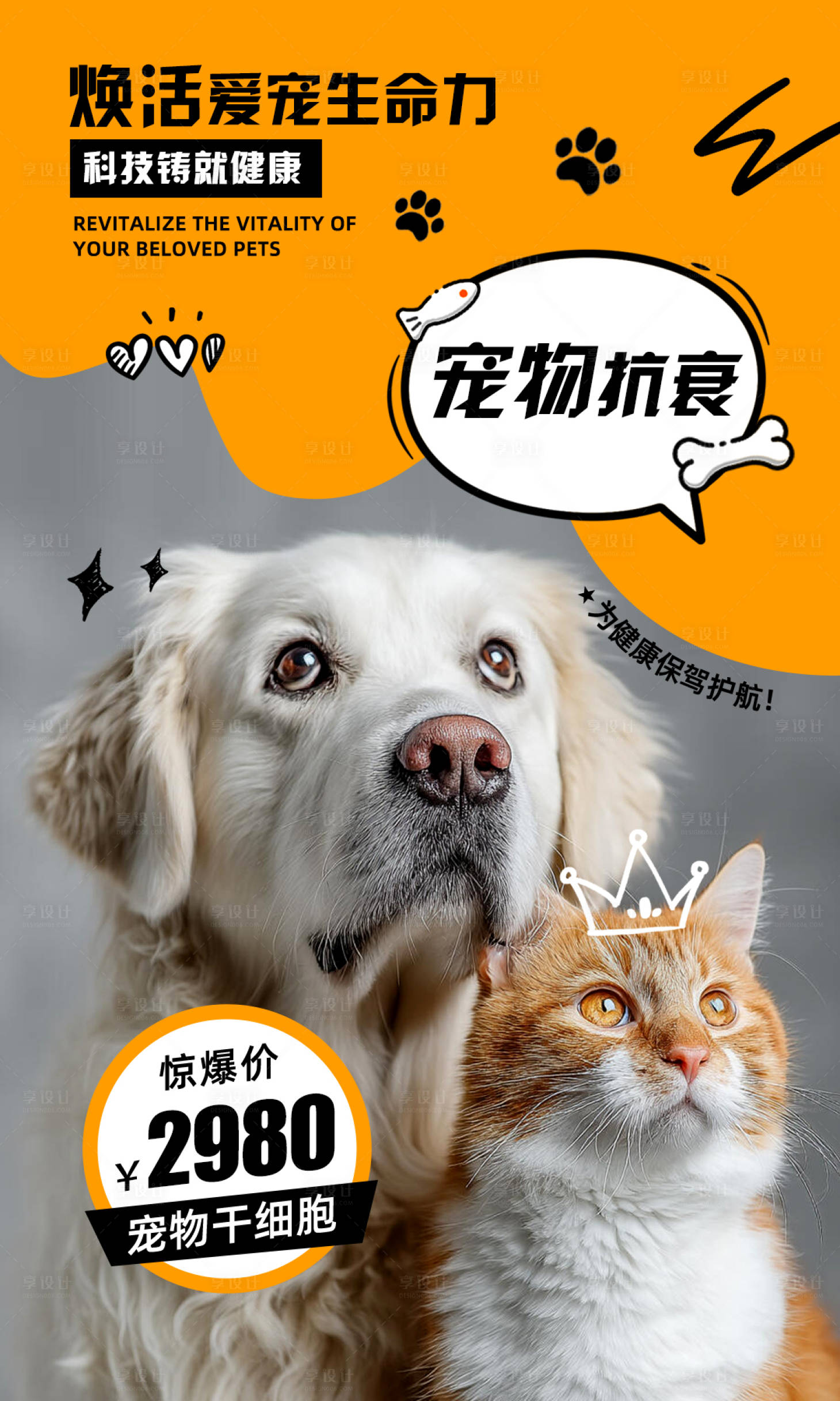 源文件下载【享设计】搜索编号：59030034066596918【宠物海报】