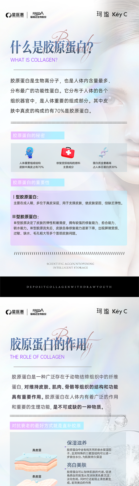 源文件下载【享设计】搜索编号：59850034011118675【胶原蛋白科普】