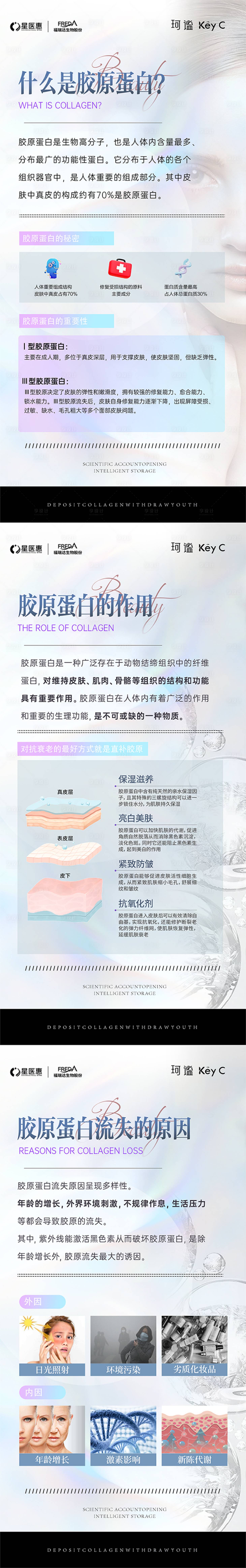 源文件下载【享设计】搜索编号：59850034011118675【胶原蛋白科普】