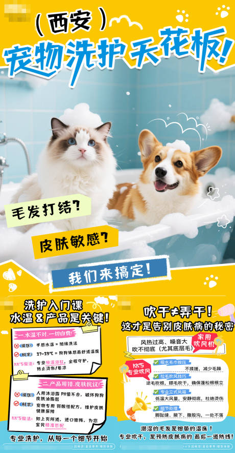 源文件下载【享设计】搜索编号：15400033951126226【宠物洗澡插画风小红书】