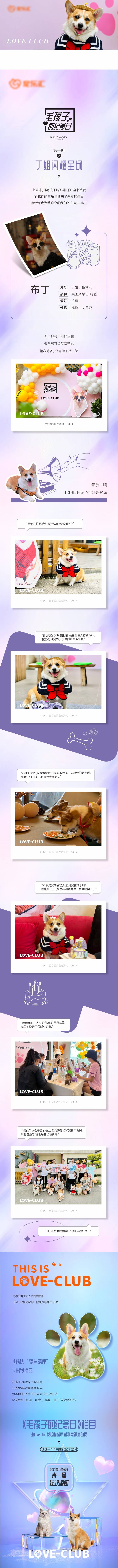 源文件下载【享设计】搜索编号：97790033860973713【毛孩子的纪念日长图】