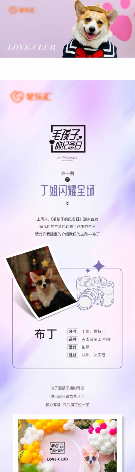 源文件下载【享设计】搜索编号：97790033860973713【毛孩子的纪念日长图】