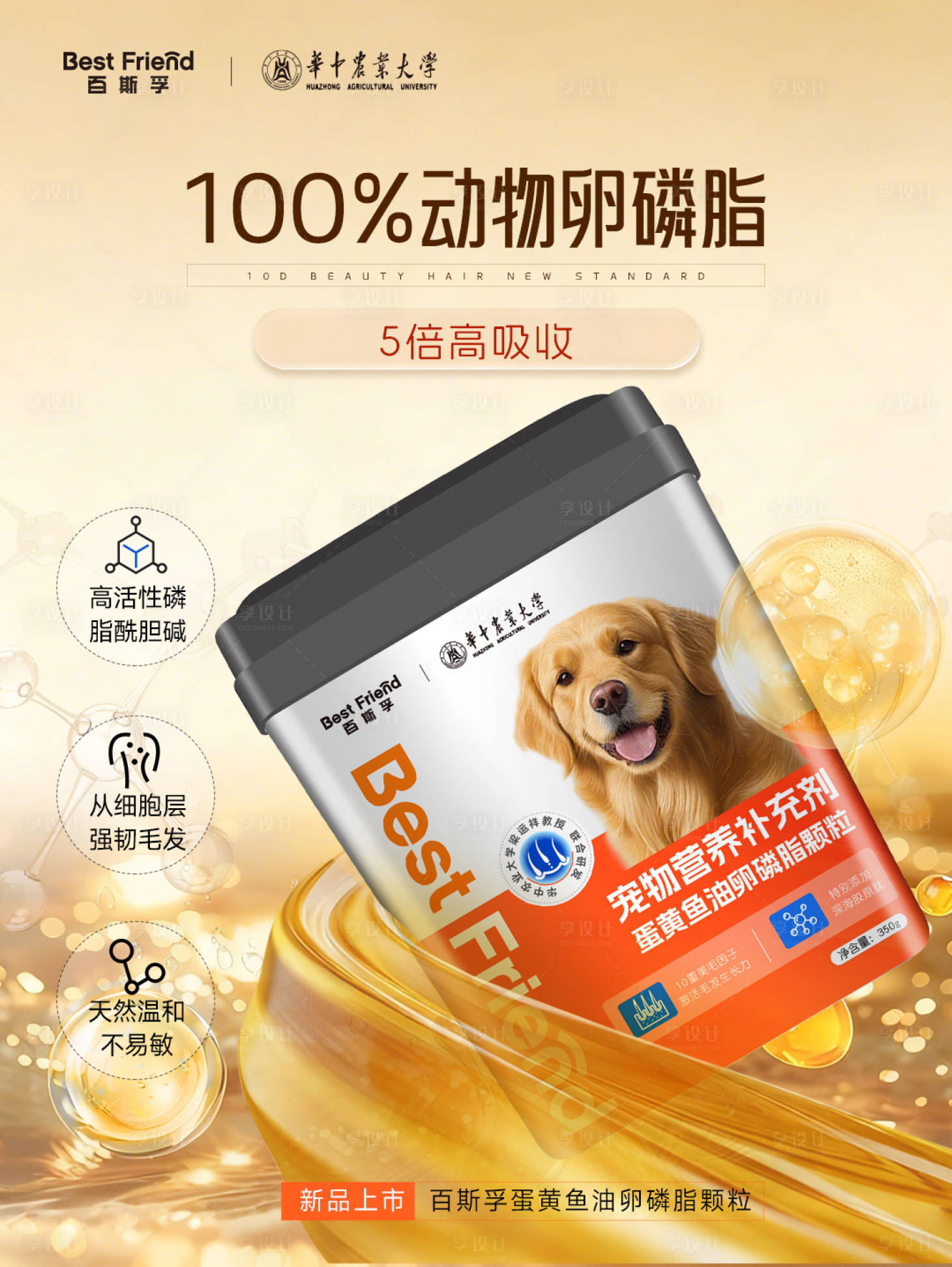 源文件下载【享设计】搜索编号：36280034096333386【金色护毛简洁宠物粮食上市海报】