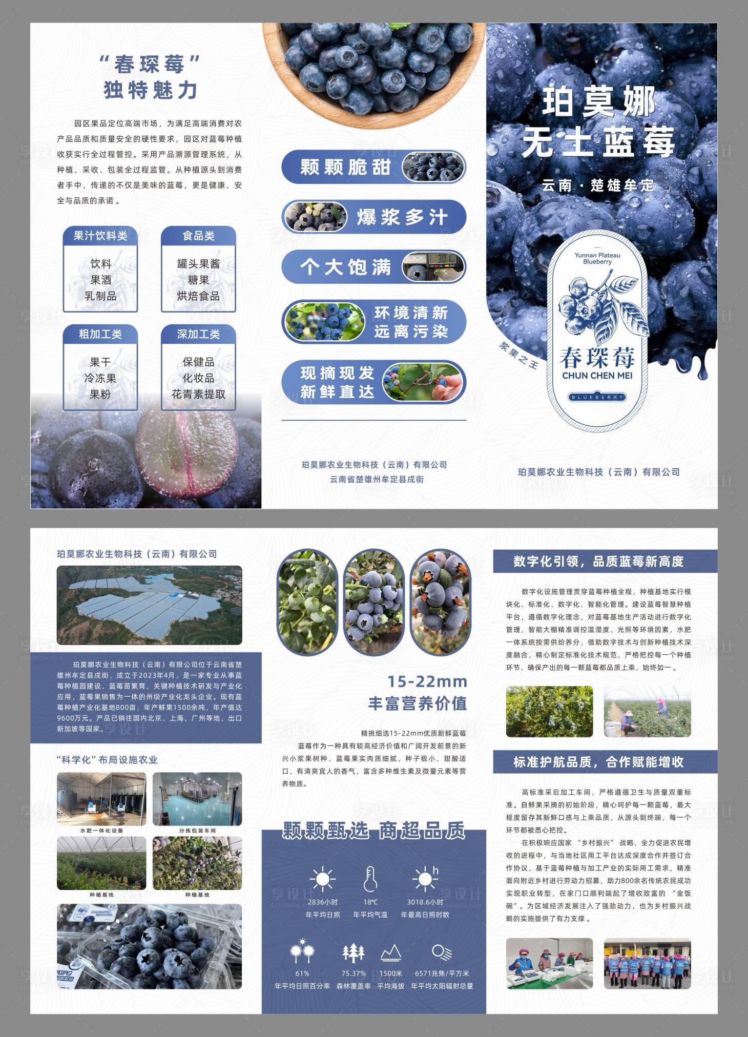 源文件下载【享设计】搜索编号：39090034280143735【蓝莓三折页】