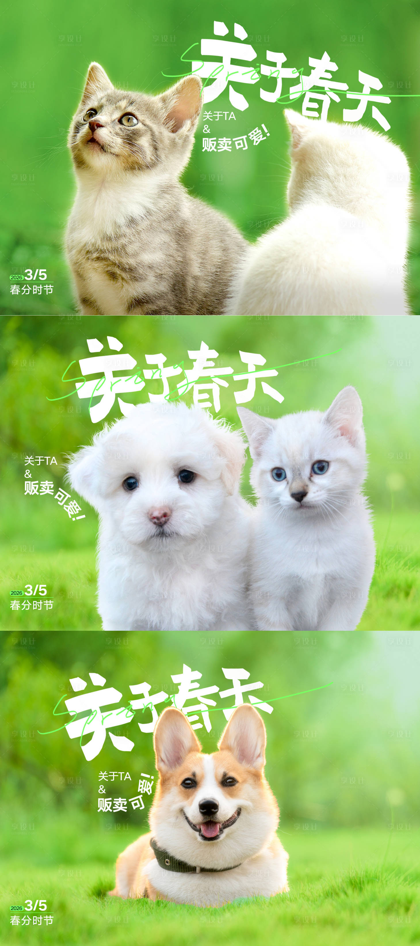 源文件下载【享设计】搜索编号：23850033989397564【商场宠物海报展板】