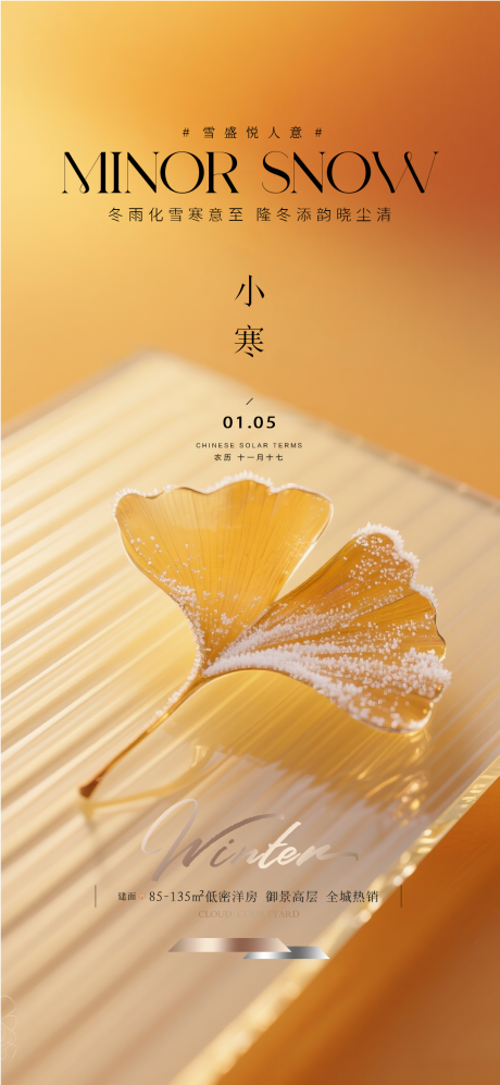 源文件下载【享设计】搜索编号：28650034201984957【地产小寒质感海报】