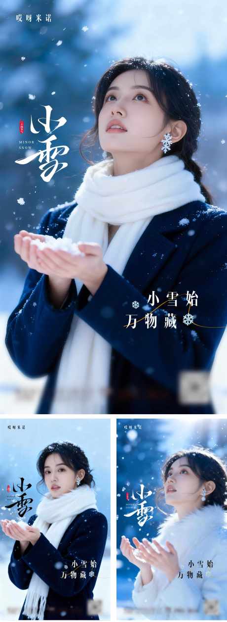 源文件下载【享设计】搜索编号：40340033963742231【医美小雪节气海报系列】