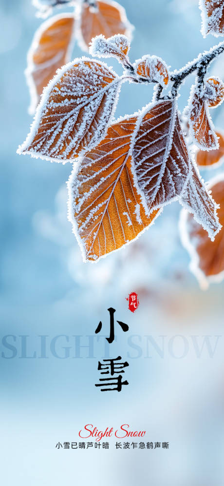 源文件下载【享设计】搜索编号：74880033986518159【冰霜小雪节气海报】