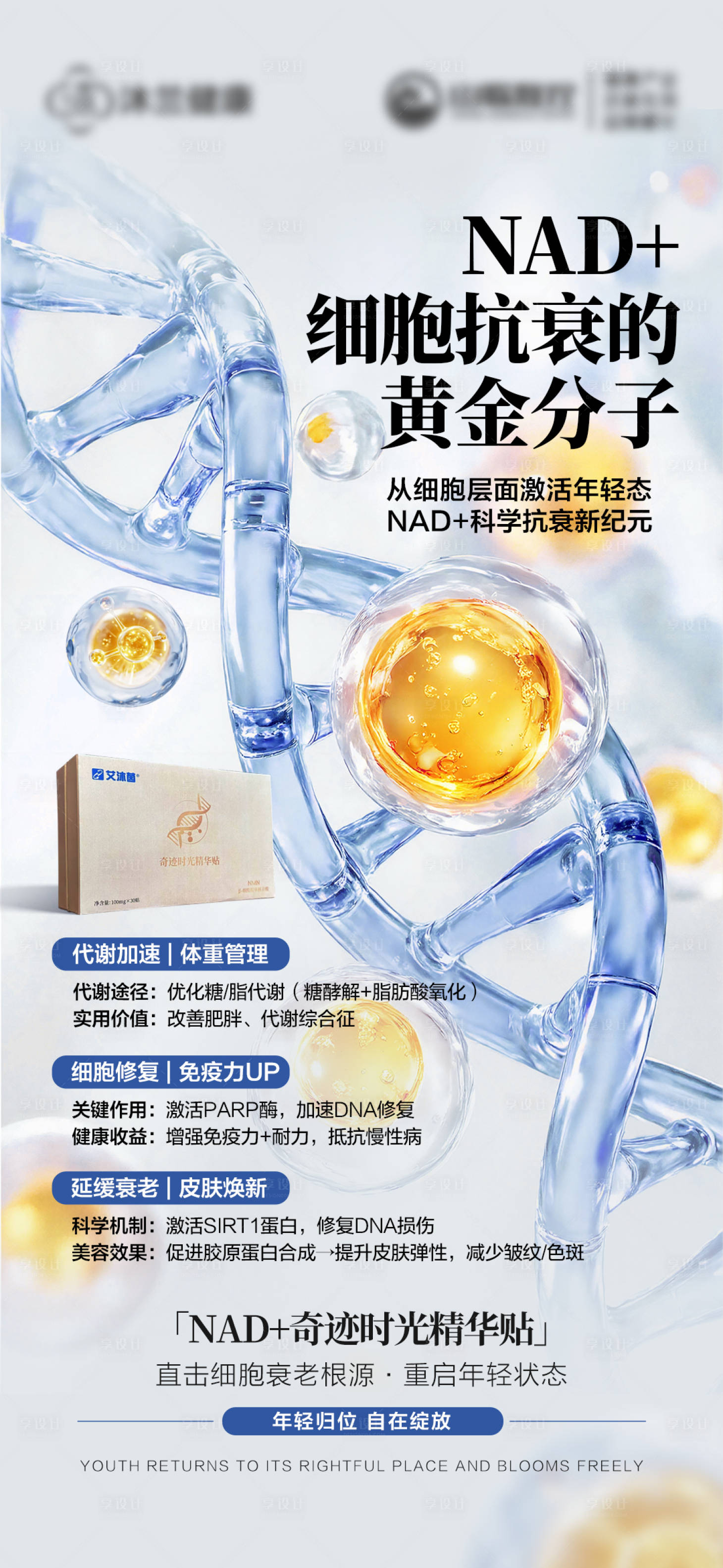 源文件下载【享设计】搜索编号：33670034228226333【医美海报】