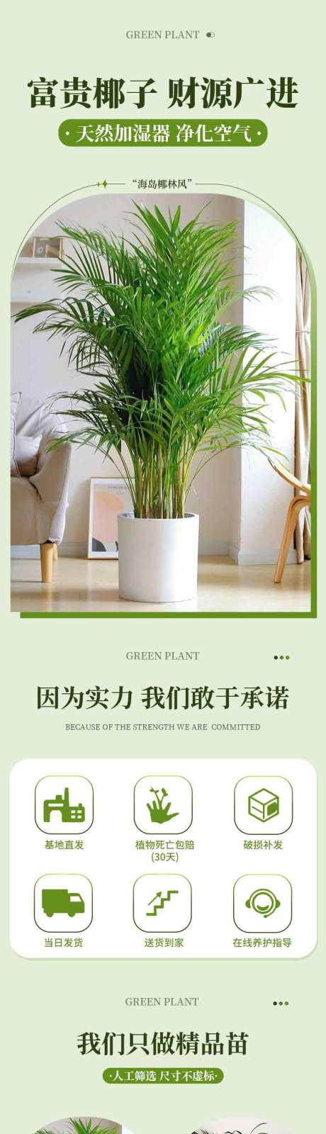 源文件下载【享设计】搜索编号：33740034268397747【绿植】