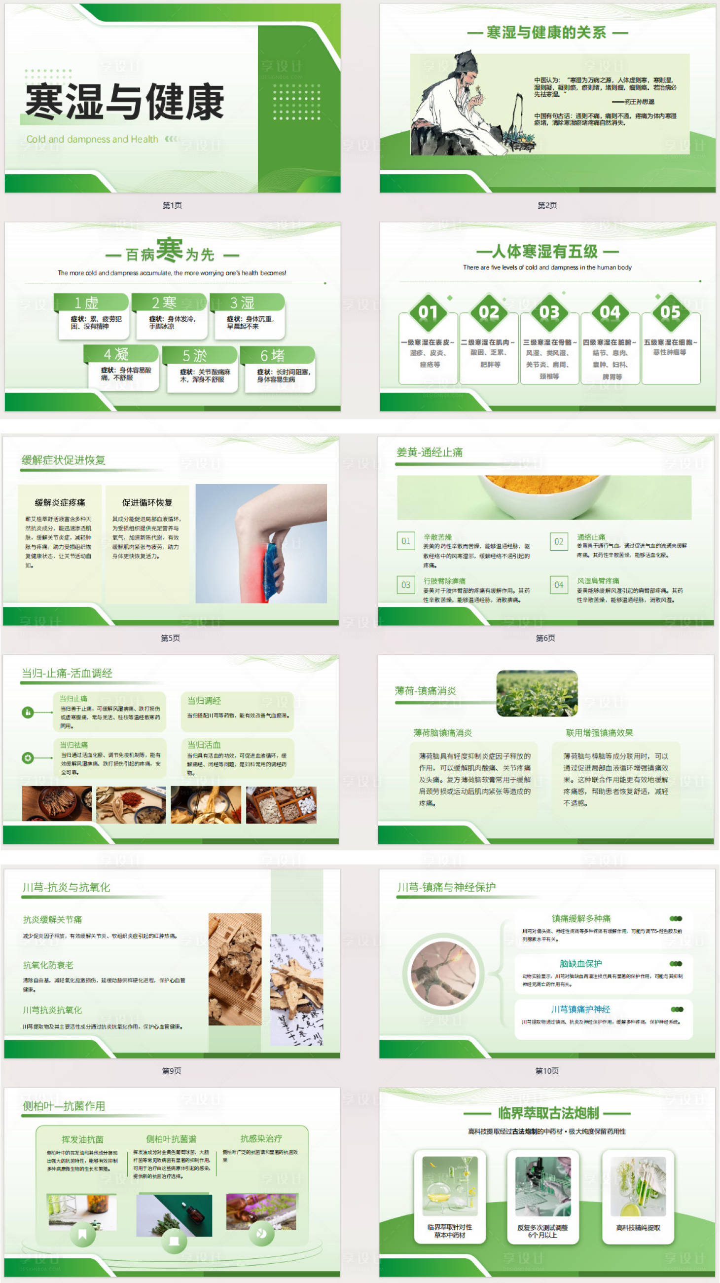 源文件下载【享设计】搜索编号：28870034130044518【植物精粹PPT】