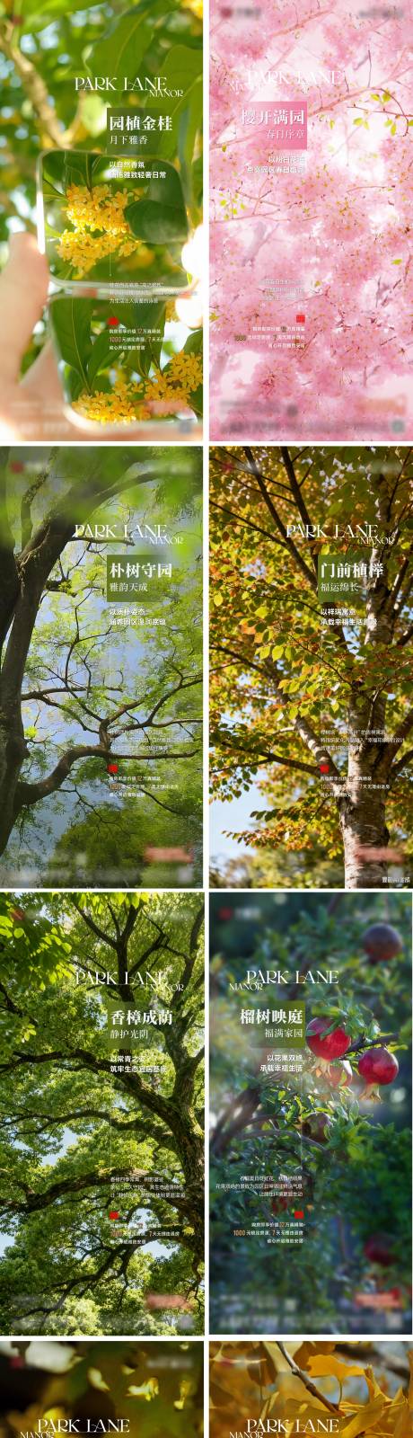 源文件下載【享設計】搜索編號：77470034033771103【房地產實景景觀園林樹木海報】