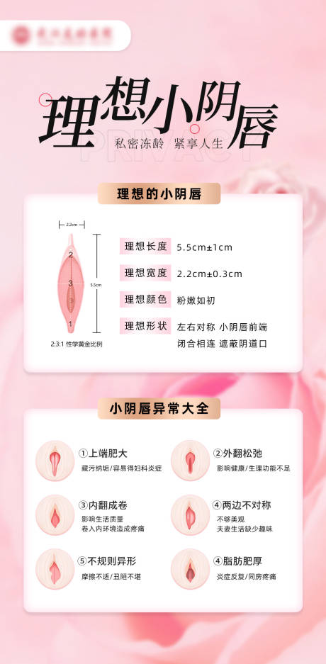 源文件下载【享设计】搜索编号：67060033997375187【私密】